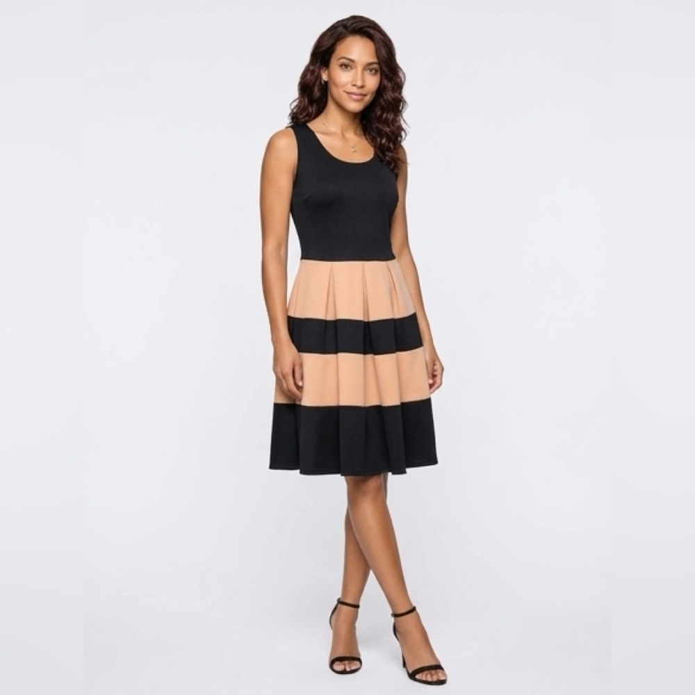 Windsor Sleeveless Black & Beige Striped Fit-and-Flare Dress stretchy/ elegant